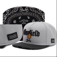 Cayler And Sons "Garfield" Snapback Grey