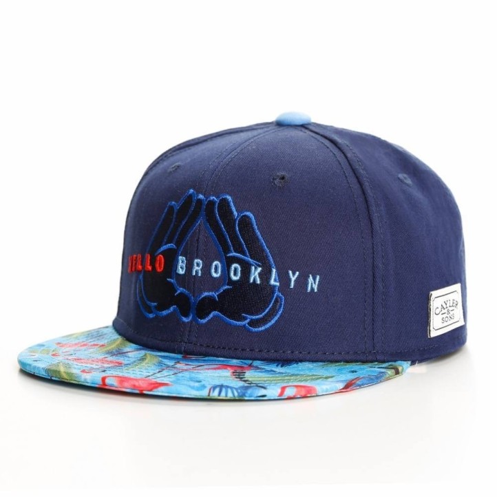 Cayler & Sons Hello Brooklyn Snapback