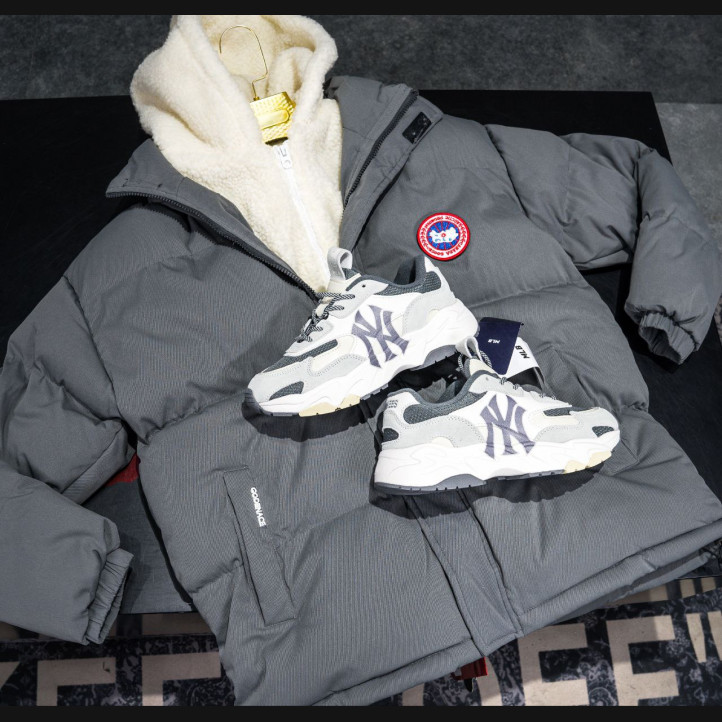 Canada Goose Winter Jacket | Grey
