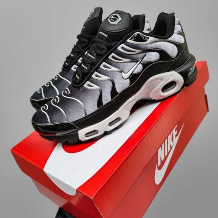 Nike TN Air Max Plus "Black Silver"