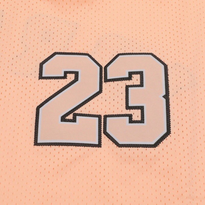 Футболка Jordan Flight 23 Mesh Jersey "Pale Pinksh Gray"