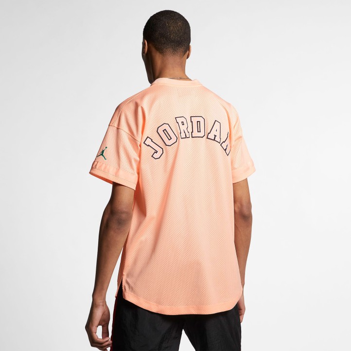 Футболка Jordan Flight 23 Mesh Jersey "Pale Pinksh Gray"