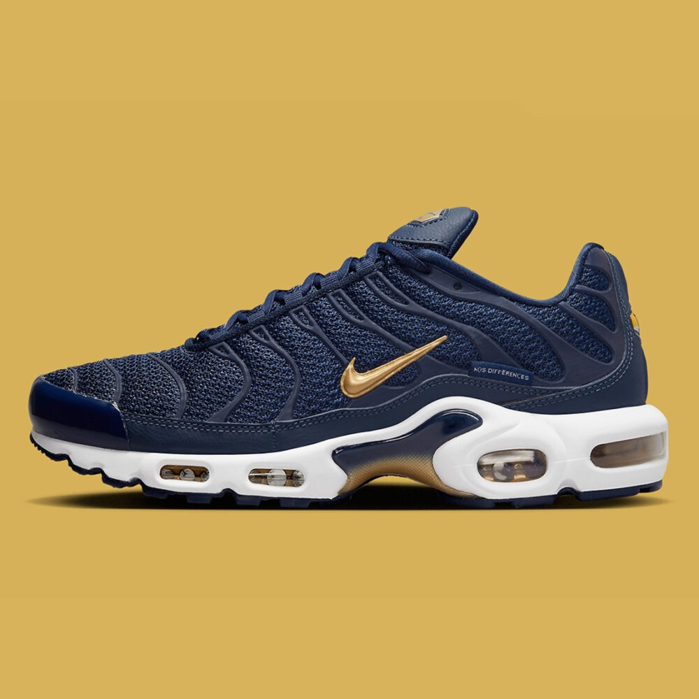 Nike TN Air Max Plus "French Football Federation"