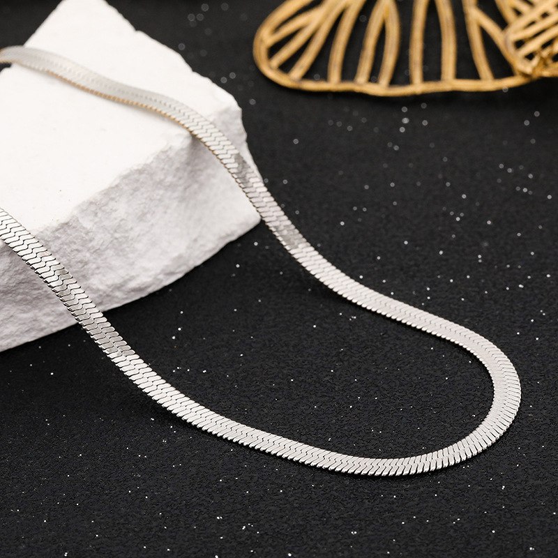 Flat Snake Chain 50cm | Silver | Titanium Steel